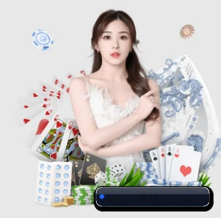 MK体育 APP