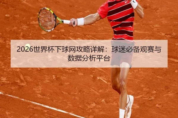 2026世界杯下球网攻略详解：球迷必备观赛与数据分析平台