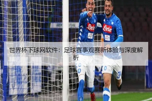 世界杯下球网软件：足球赛事观赛新体验与深度解析